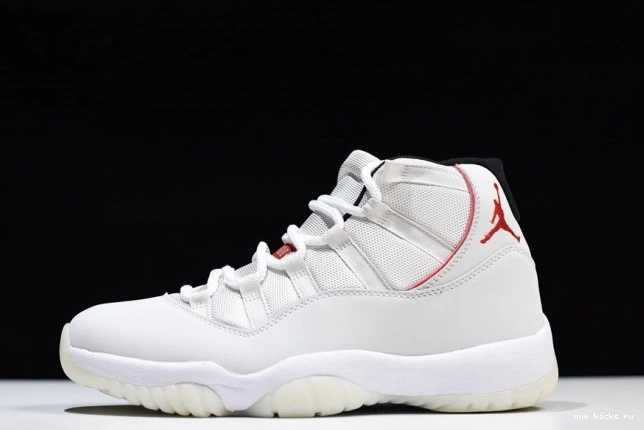 Chep Onekick Platinum Tint 11 Air Retro 378037-016 Jordan 0825